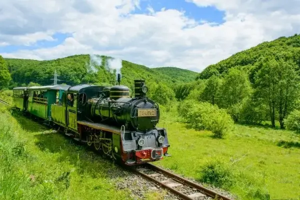 mocanita cu aburi sovata