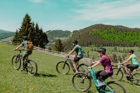 tur ghidate cu bicicleta electrica mountain