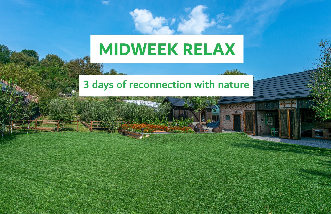 midweek relax oferta